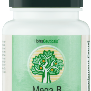 Mega B