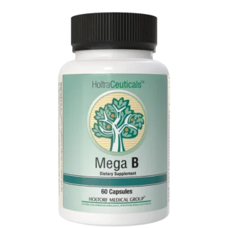 Mega B